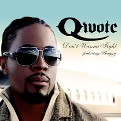 Don't Wanna Fight (feat. Shaggy) - Qwote