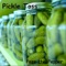 Barcode - Pickle Toss lyrics