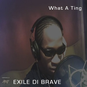 What A Ting - Single