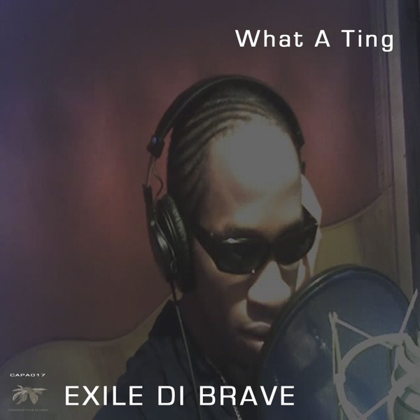 What A Ting - Single