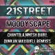 Moodyscape Remixes