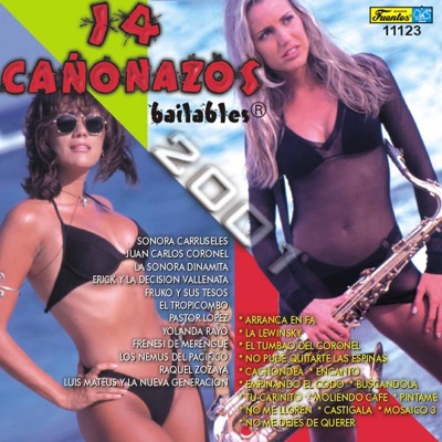 14 Cañonazos Bailables, Vol. 2