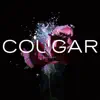 Cougar - Rhinelander
