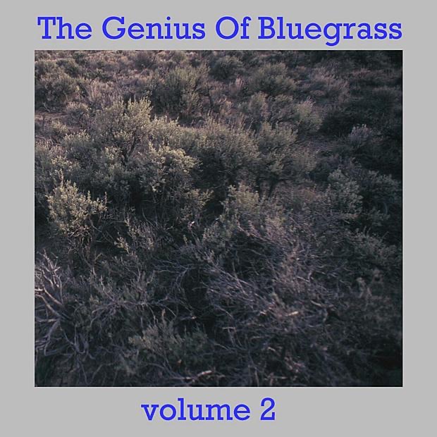 The Genius of Bluegrass, Vol. 2