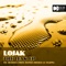 The Leak (Oliver Moldan Remix) - Lojak lyrics