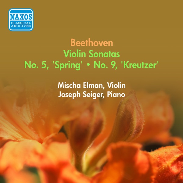 Capa de Violin Sonata No. 9 in A major, Op. 47, "Kreutzer": I. Adagio sostenuto - Presto