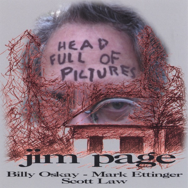 Обложка альбома «Head Full of Pictures» — Jim Page