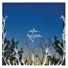 Skytree - Ice Age Trail