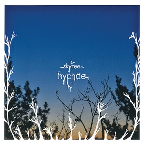 Hyphae