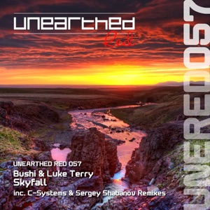 Skyfall - Single