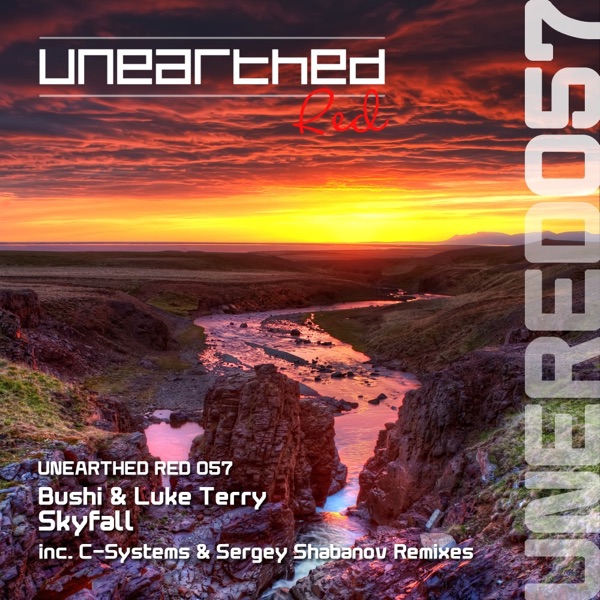 Skyfall - Single