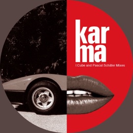 Are We? (Radio Edit) Karma featuring Michelle Amador