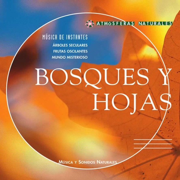 Atmósferas Naturales : Bosques y Hojas artwork