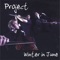 Random Roads Suite: Pelea de Gallo - Project lyrics