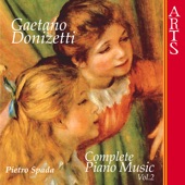Sinfonia In Re Maggiore (II) (Donizetti) artwork