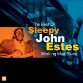 Working Man Blues (The Best Of Sleepy John Estes) artwork