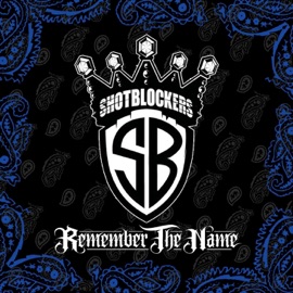 Remember the Name (feat. Hoya Roc & Skam Dust) Shotblockers & Danny Boy