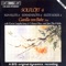 Scaramouche, Op. 71: Scaramouche, Op. 71, Act II, Scene 6: Tranquillo Assai (Flute Solo) artwork