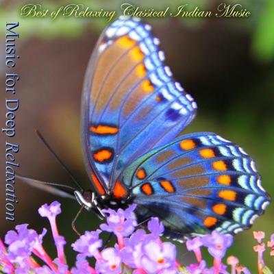 Best of Relaxing Classical Indian Music