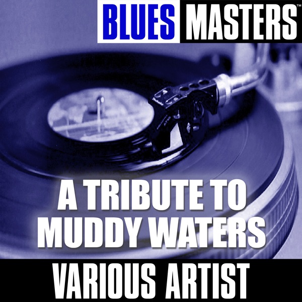 A Tribute to Muddy Waters