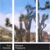 Joshua Tree