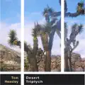 Joshua Tree