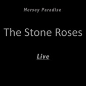Mersey Paradise (Live) artwork