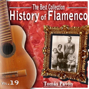 The Best Collection. History of Flamenco, Vol. 19: Tomás Pavón