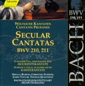 Bach, J.S.: Secular Cantatas, Bwv 210-211 artwork