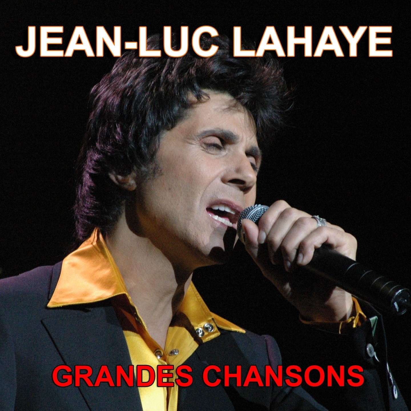 Jean-Luc Lahaye : Grandes chansons (Ses plus grands succès)