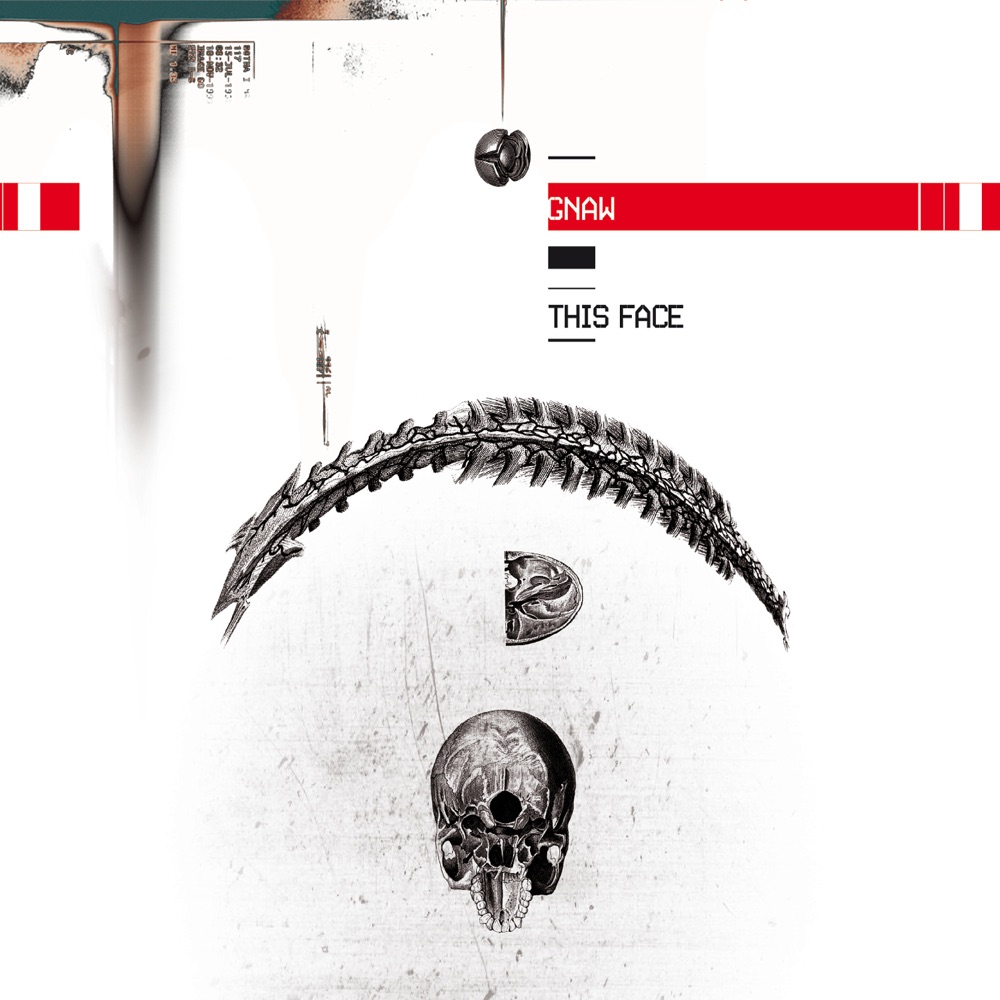 Gnaw – This Face