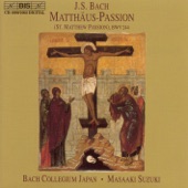 St. Matthew Passion, BWV 244: 20. Aria: Ich Will Bei Meinem Jesu Wachen (Tenor, Chorus) artwork