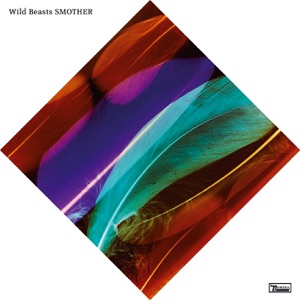 Chord Gitar Albatross - Wild Beasts