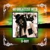 40 Greatest Hits, 2011