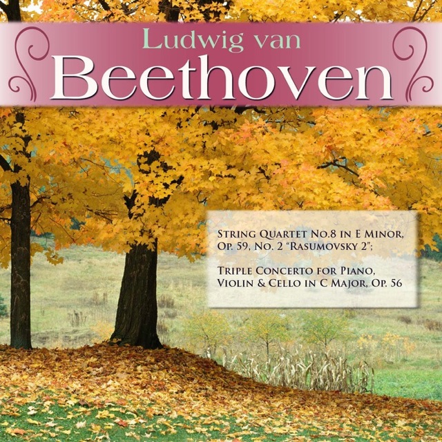 String Quartet No.8 in E Minor, Op. 59/2 "Rasumovsky 2": I. Allegro