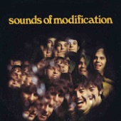 Sounds Of Modification - You