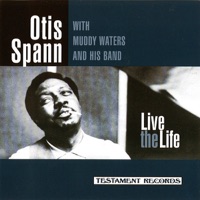 Live the Life (feat. Muddy Waters and His Band) - Otis Spann