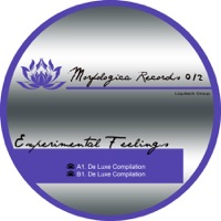 De Luxe Compilation - Experimental Feelings