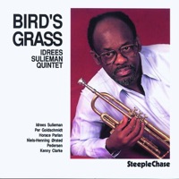 Bird's Grass - Idrees Sulieman