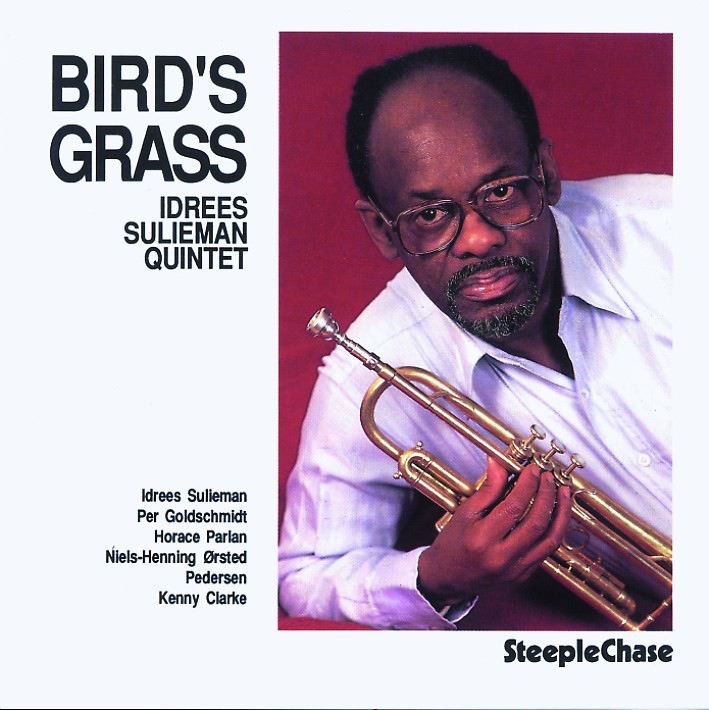 Bird's Grass by Idrees Sulieman album cover