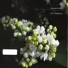 Leyla Saribekyan - Mi Bazhanveq Siruts Yerbeq