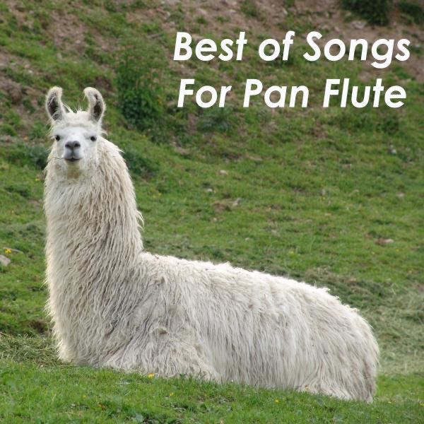 Best pan flute songs store