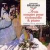 Dominique De Williencourt  Brahms : 3 sonates pour violoncelle & piano