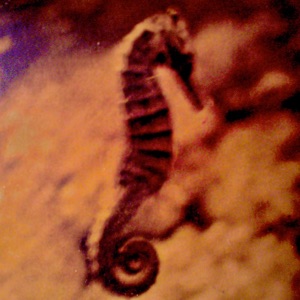 here They Come album art