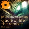 Cradle Of Life (Phunk Investigation Black Mamba Remix)