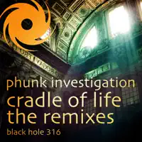 Cradle Of Life (Phunk Investigation Black Mamba Remix)