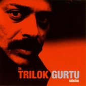 Trilok Gurtu - Once I Wished a Tree Upside Down...