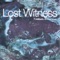 7 Colours (radio Edit) - Lost Witness lyrics