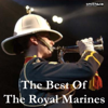 The Band of H.M. Royal Marines - Hearts of Oak / A Life On the Ocean Wave / Prelude & Sunset artwork