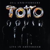 25th Anniversary - Live In Amsterdam artwork